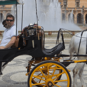 Horse Carriage City Tour In Seville Banner
