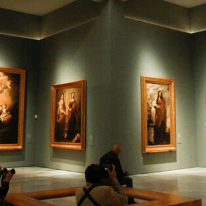 Museum Of Fine Arts Banner