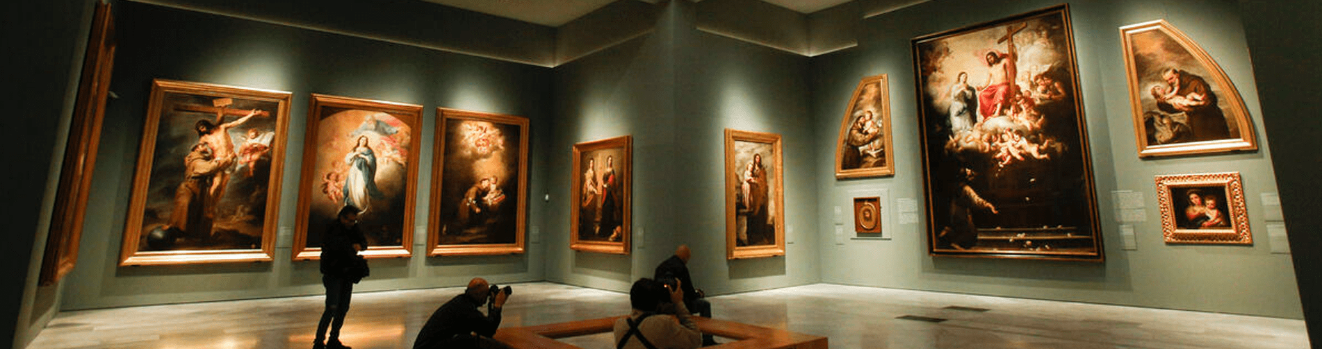 Museum Of Fine Arts Banner