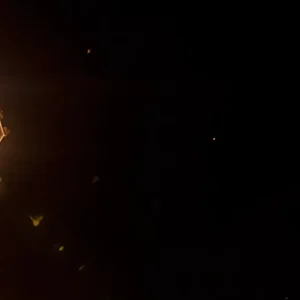 Visita Guiada Sevilla Encantada Naturanda 1902x503