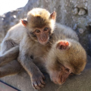 Diseño Sin Título (3)